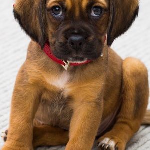 Meet your Posher, Ava